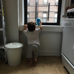 Meet your Posher, Lillie